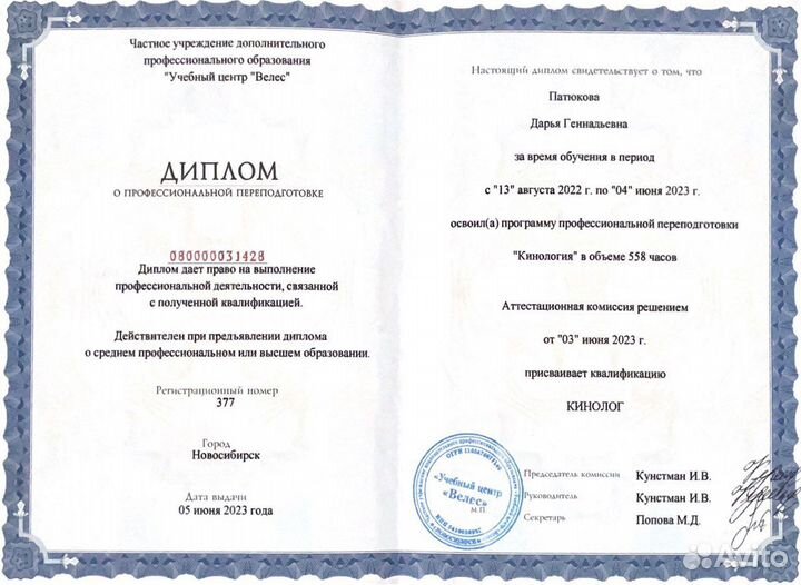 Кинолог, дрессировка собак