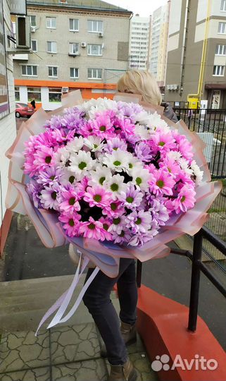 Хризантема букет