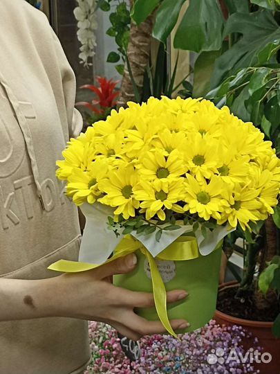 Букет ромашки