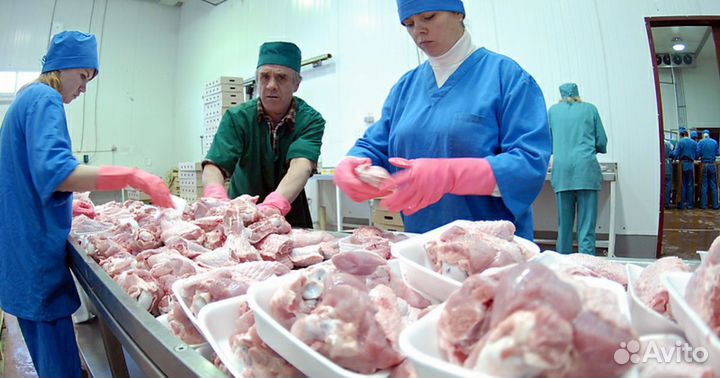 Упаковщики(индейка) Вахта С проездом