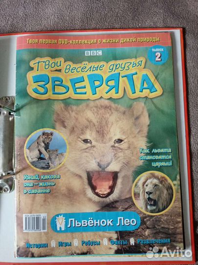 Единица с обманом. Скорей бы вырасти