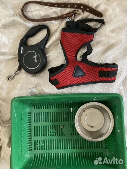 Товары для животных, шлейка, лоток