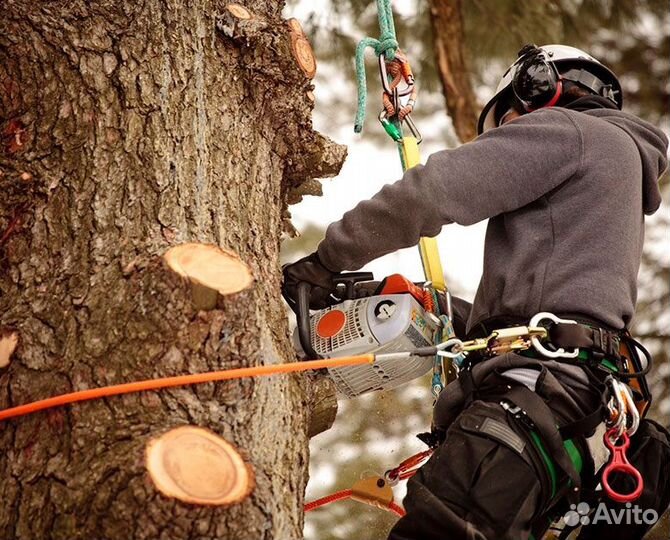 Строительство деревянного дома Классик