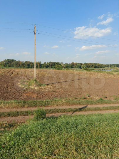 Участок 41 сот. (СНТ, ДНП)