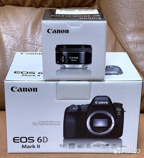 Canon EOS 6D Mark II+Canon EF 50mm 1.8 STM