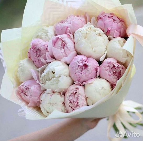 Пионы Букет пионов