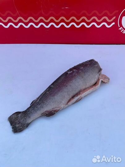 Форель свежемороженная