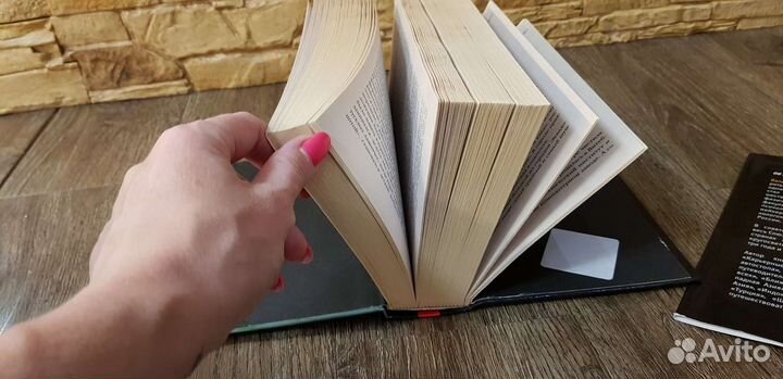 Валерий Шанин Вокруг света за 280 долларов