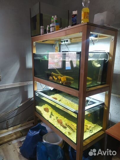 Аквариумы V 2, 30, 60, 80, 200, 670 литров