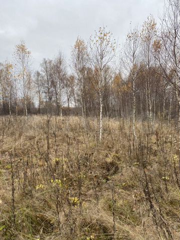 Участок 19,4 сот. (СНТ, ДНП)