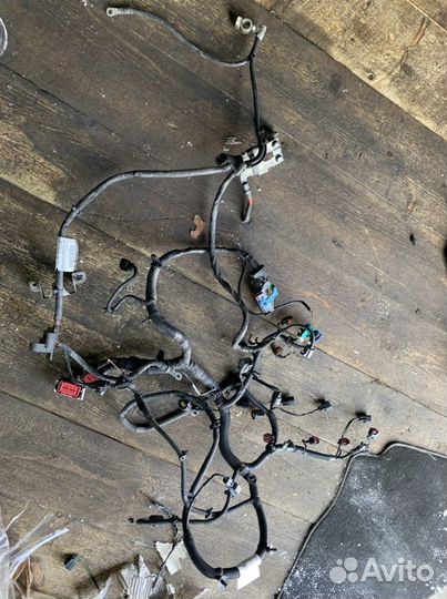 Проводка двигателя Focus 2 1,8л qqdb 2.0 aoda