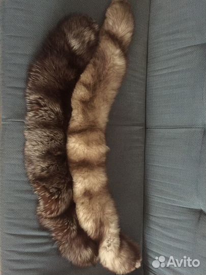 Шкура песца