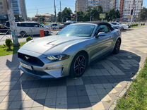 Аренда и прокат авто Ford Mustang