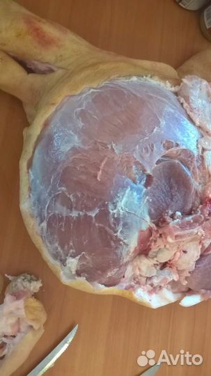 Мясо свинины Туши- п/туши-четверти