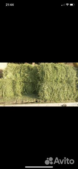 Сено есть доставка