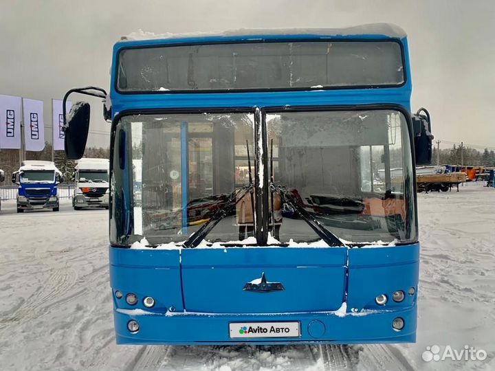 Городской автобус МАЗ 103465, 2010