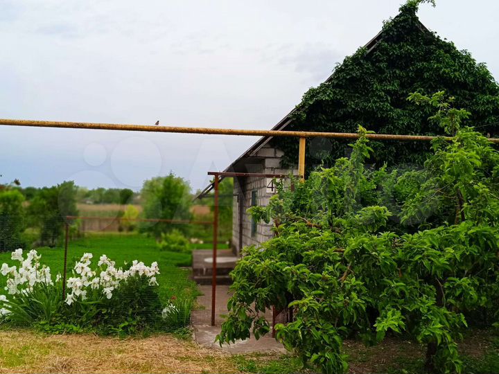 Дом 39 м² на участке 15 сот.