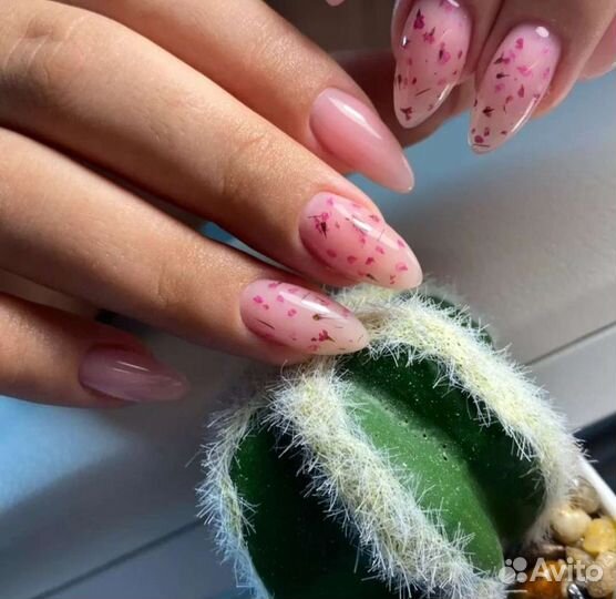 Гель лак с сухоцветами