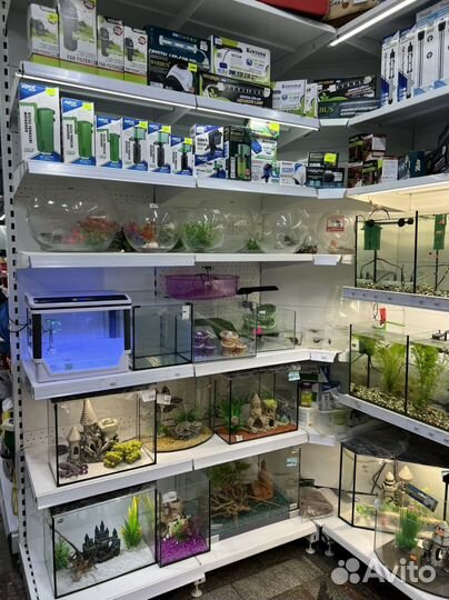 Аквариумы