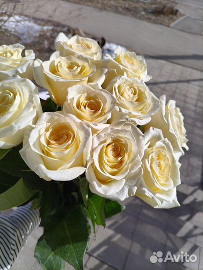 Живые цветы/Оформление/Доставка