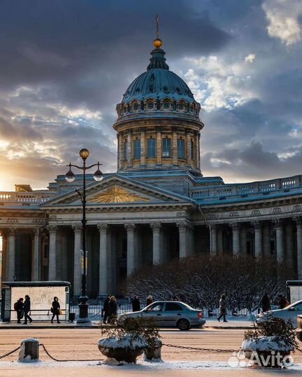 Репетитор физика химия английский биология