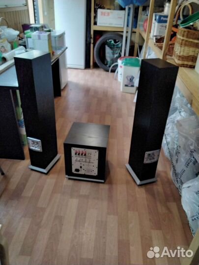 Акустика audiovector