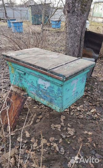 Улей для пчел