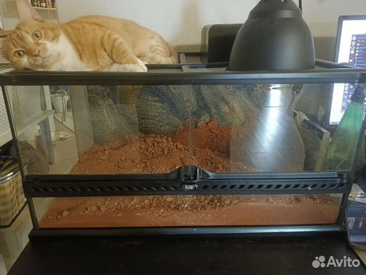 Террариум exo-terra для рептилий