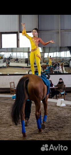 Костюм для воздушной гимнастики 134