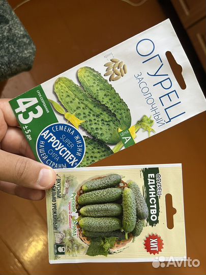 Семена огурцов