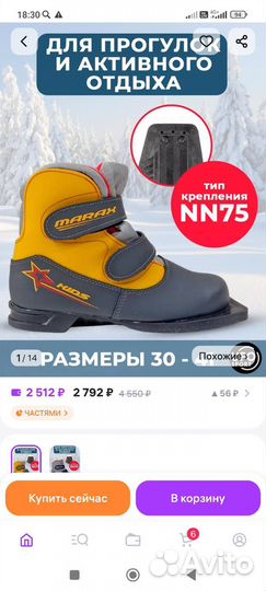 Лыжные ботинки