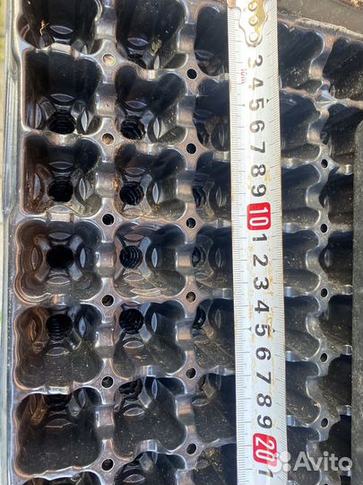 Кассеты для рассады бу 128 ячеек (8х16)