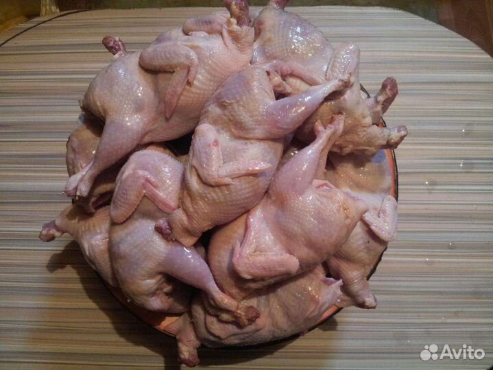 Тушки перепелов