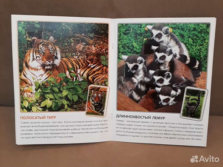 Книги о животных с фото для дошкольников 0+
