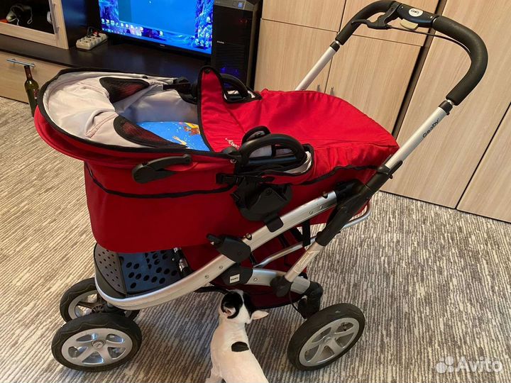 Коляска 2 в 1