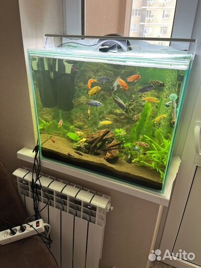 Аквариум