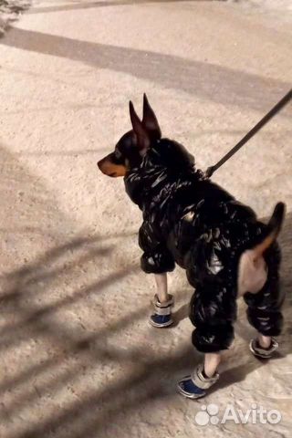 Комбинезон для собаки зимний