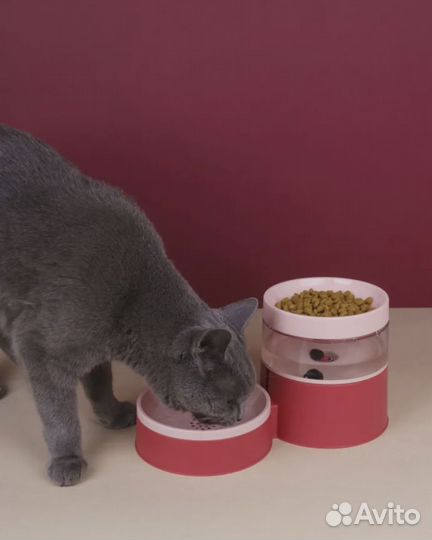 Двойная миска для животных на подставке