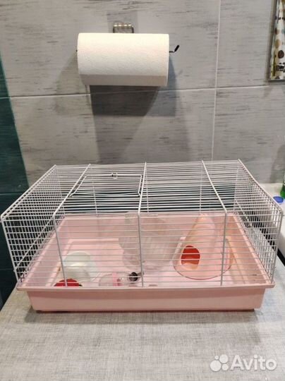 Клетка для грызунов бу