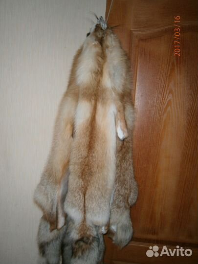 Шкурки лисьи