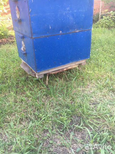 Улья с пчелами