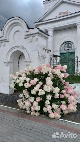 Экскурсия по Туме