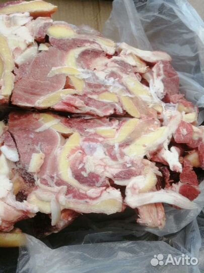 Говядина, хрящи, жилы (корма для животных), обрезь