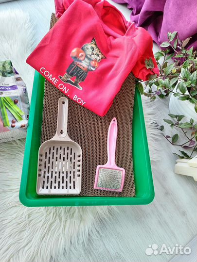 Сухой корм для кошек