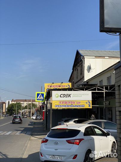 Черви для рыбалки выползки