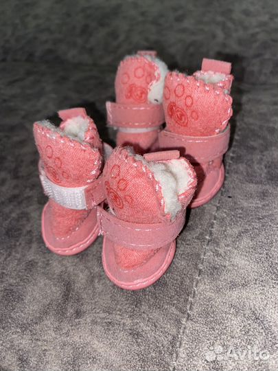 Вещи для маленьких собак