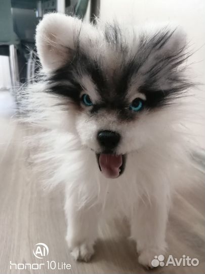 Реалистичные игрушки Шпиц и рысь