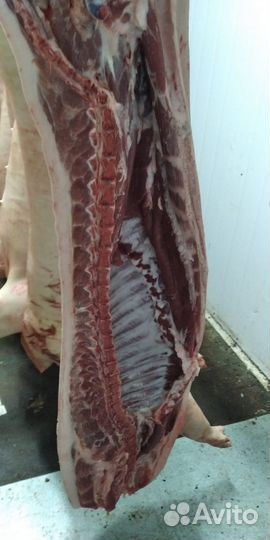 Свинина оптом