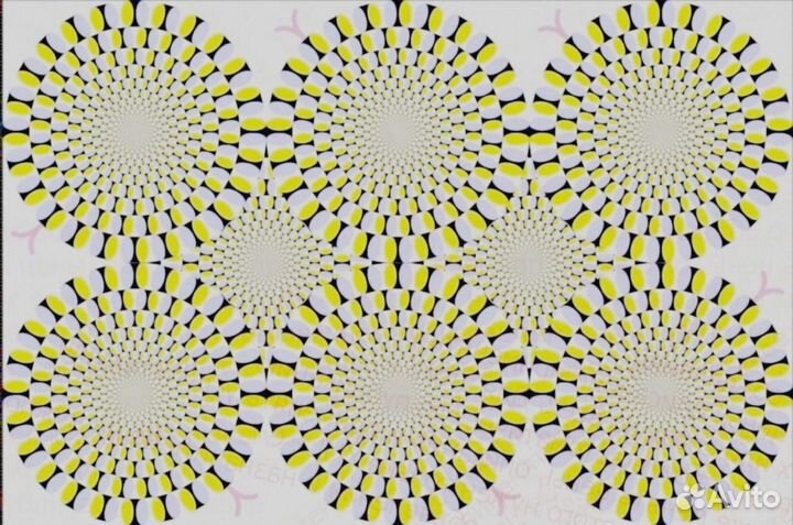 Вахта Разнорабочий Жилье Еда Аванс ежденед. /Отл.У