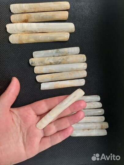 Ногти русалки набор ракушек